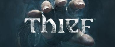 portfolio-2014-thief